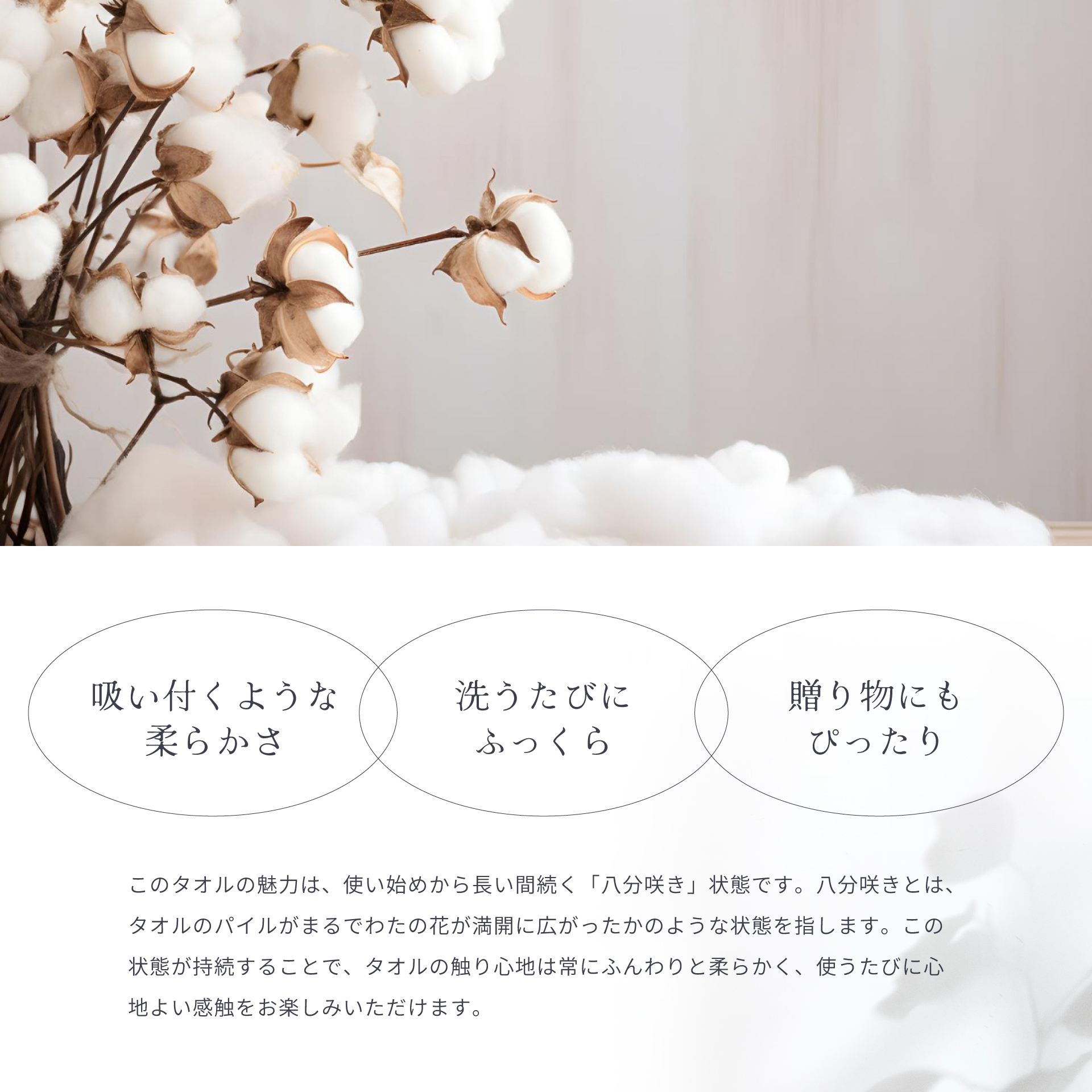 わたのはな№ 1 - 浅野撚糸株式会社